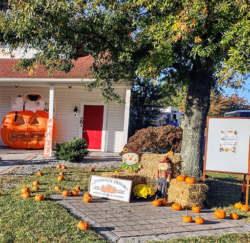 Fall-festival-1